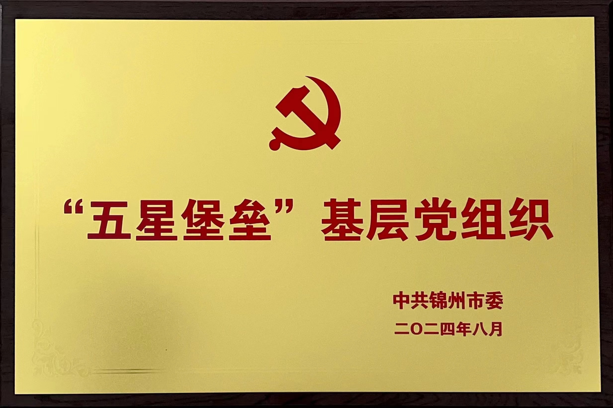 渤海潮涌党旗红，五星闪耀铸辉煌——锦州市渤海中等职业技术学校党支部获评“五星堡垒”基层党组织